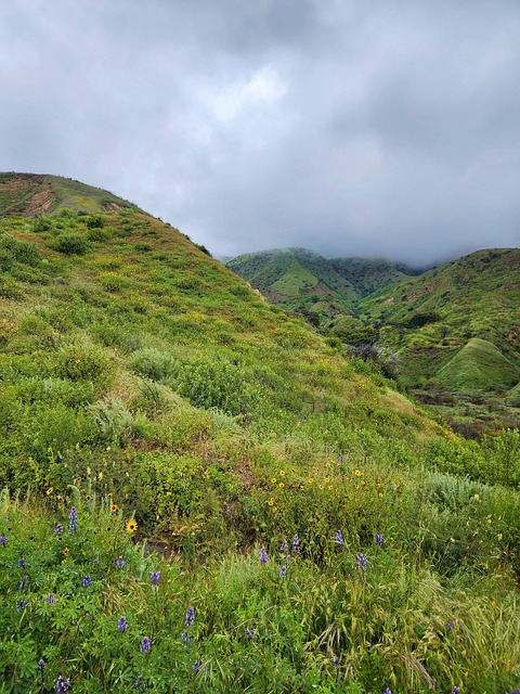 Free Mountain Nature photo and picture