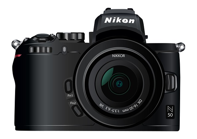 Free camera photo walking illustration