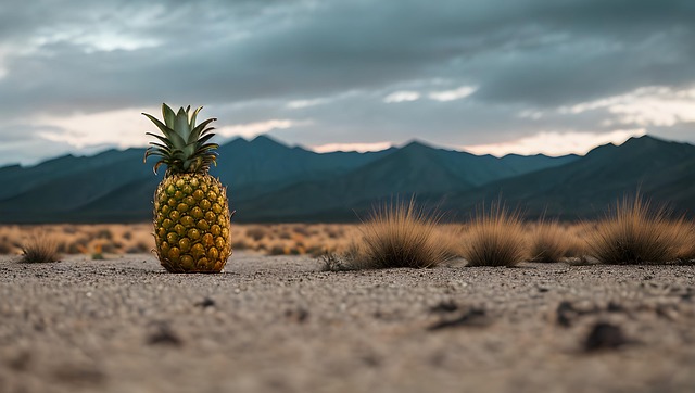 Obst, Natur, Ananas, Faser, Wüste