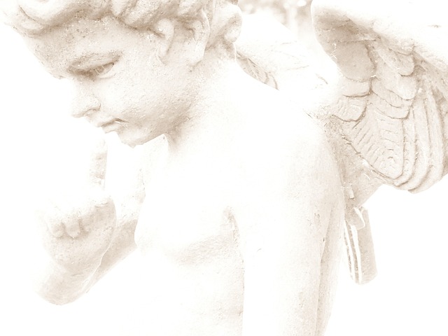 Free Angel Wellness photo and picture