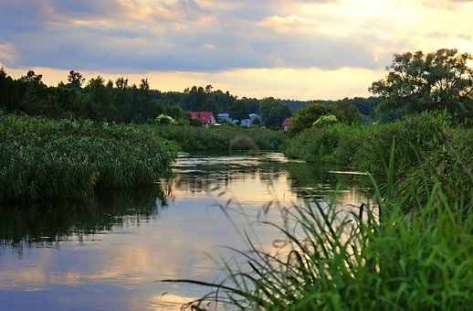 Free River Water photo and picture
