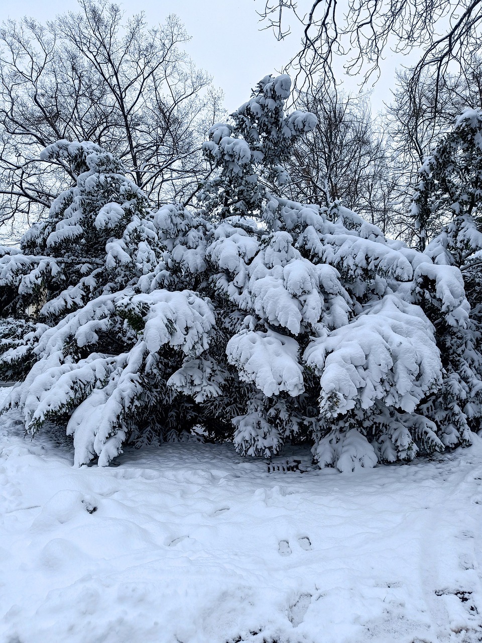 雪 冬 いいね - Pixabayの無料写真
