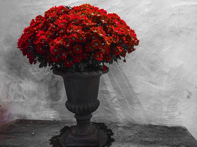 Free Flowers Vase photo and picture
