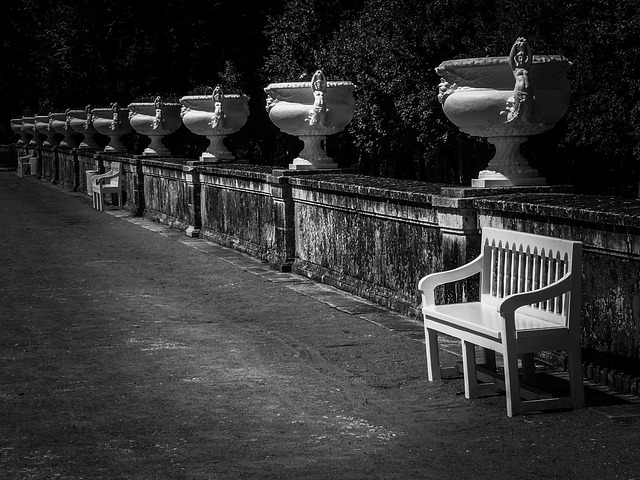 Free Park Garden photo and picture