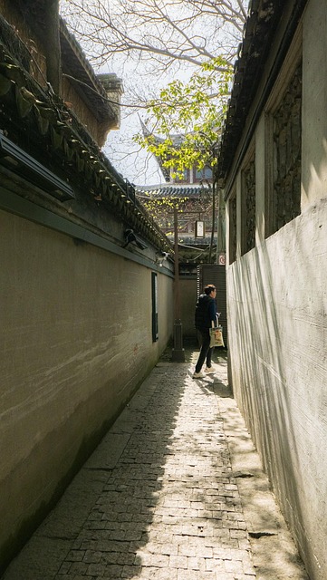 Free Alley Street photo and picture