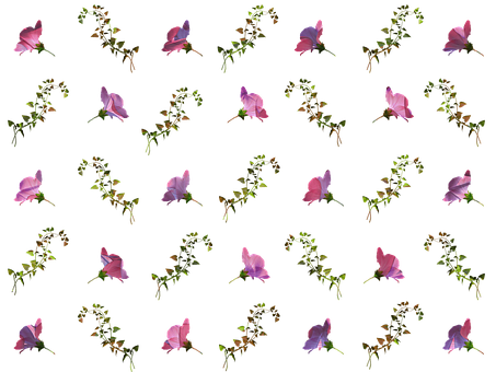 花朵, 花的, 植物群, 模式, 背景, 紫色的, 粉色的