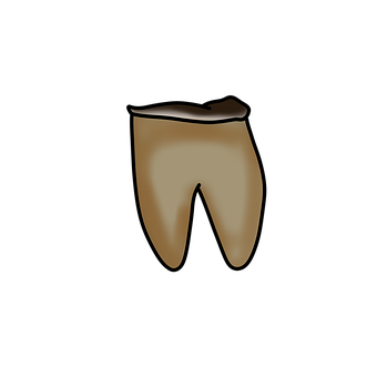 Diente, Caries, Dentista, Dental