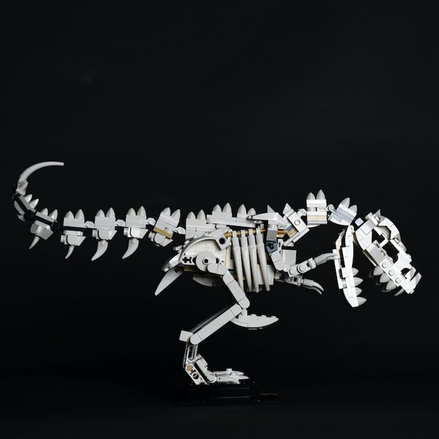 Free Dinosaurs Jurassic photo and picture