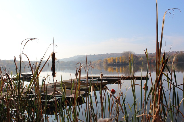 Herbst, See, Boote, Schilf, Bäume