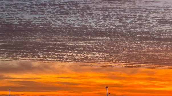 Skat, Landskab, Solnedgang, Strand