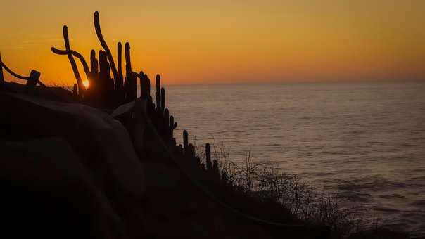 Sol, Strand, Solnedgang, Landskab, Skat