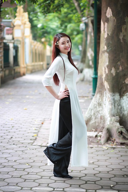 Mulher, Modelo, Aodai, Vestido Longo