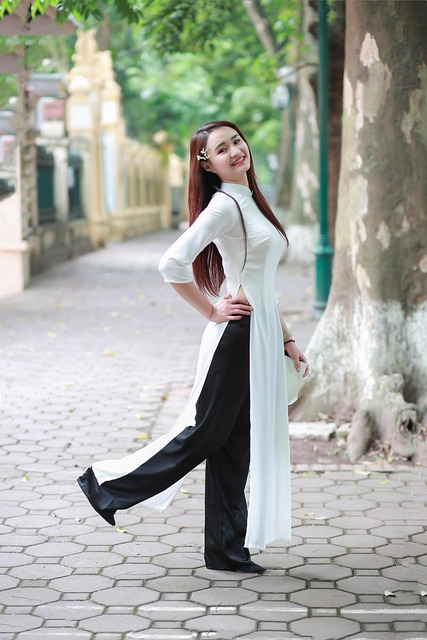 Mulher, Modelo, Aodai, Vestido Longo