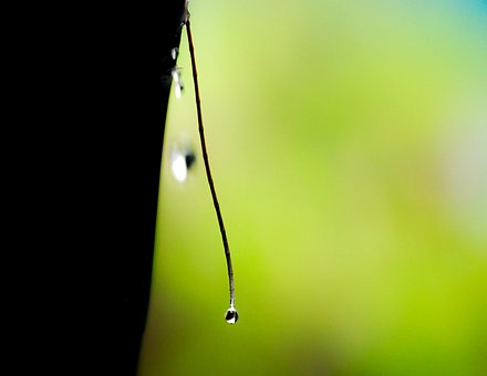 Goteo, Agua, Líquido, Agua De Lluvia