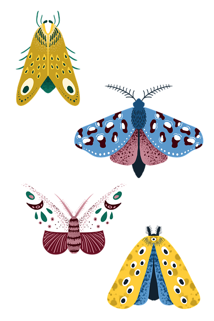 Free moth butterfly insect illustration