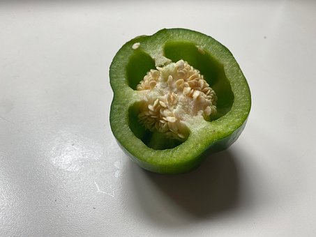 Free Pepper Green Pepper photo and picture