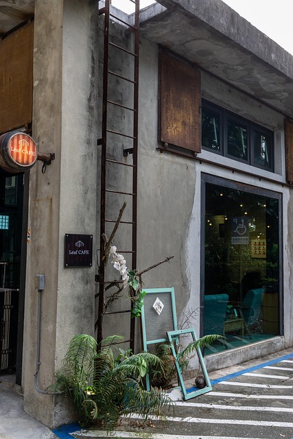 Cafenea, Taiwan, Scară, Frunze, Clasic