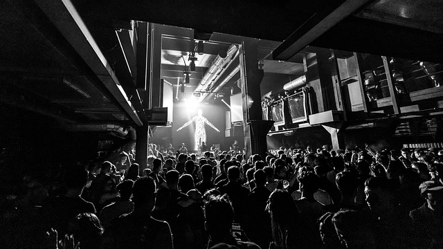 Concert, Menigte, Publiek, Dj, Show