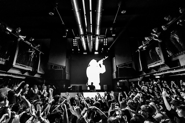 Concert, Menigte, Publiek, Dj, Show