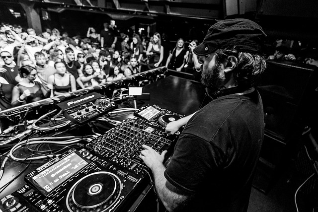 Dj, Concert, Menigte, Publiek, Show