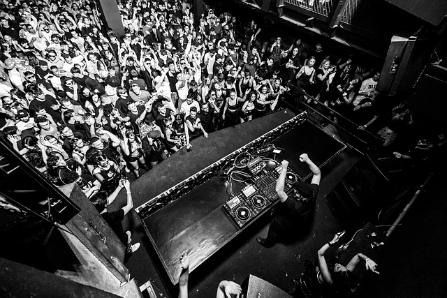 Concert, Menigte, Publiek, Dj, Show