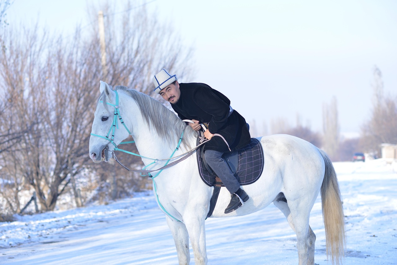 Hombre Y Caballo Imagen de archivo Imagen 935111 Hombre Y Caballo Imagen de archivo Imagen 935111