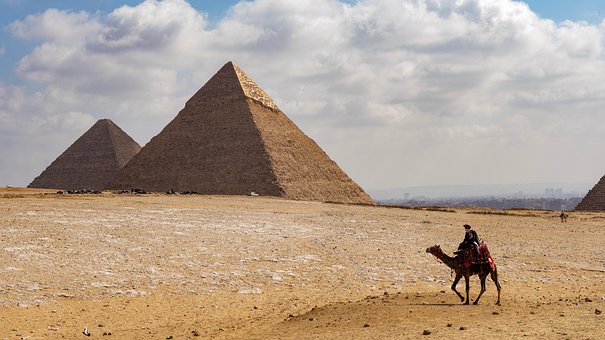 Kamel, Pyramide, Wüste, Ägypten