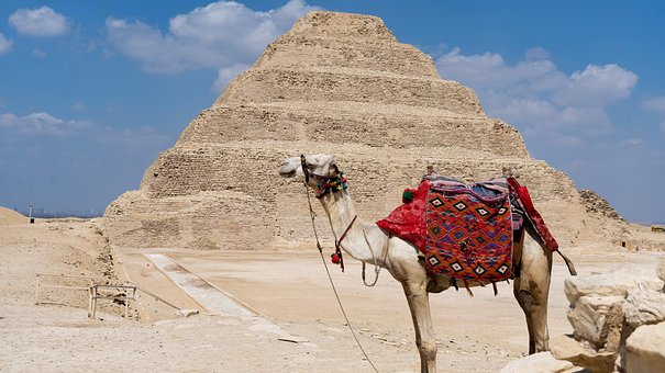 Kamel, Pyramide, Ägypten