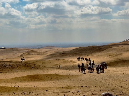 Wüste, Pyramiden, Kamele, Ägypten