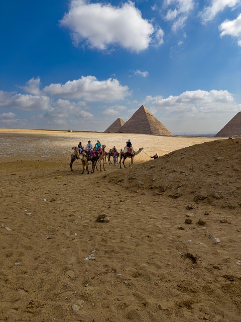 Pyramide, Kameler, Stor Pyramide, Kairo