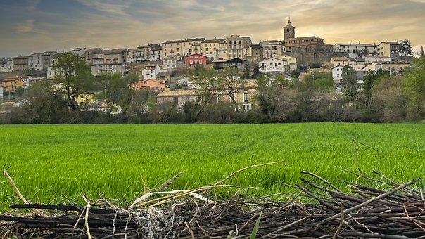 Free Field Landscape photo and picture