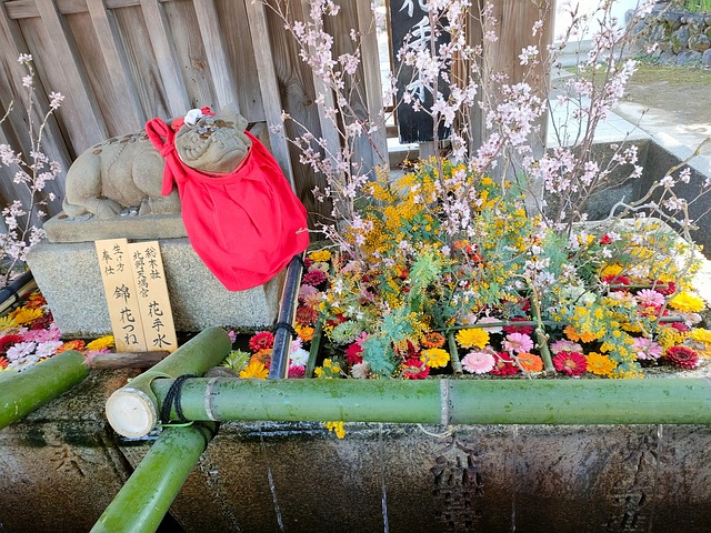 Free Kyoto Buddhism photo and picture