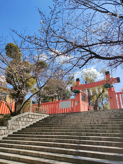shrine, gate, ikutama shrine, osaka
