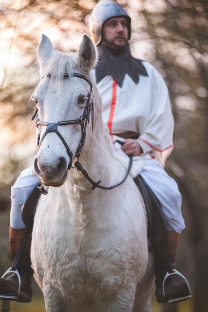 Free Man Horse photo and picture