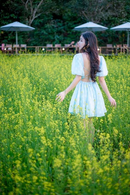 Free Woman Flower Background photo and picture