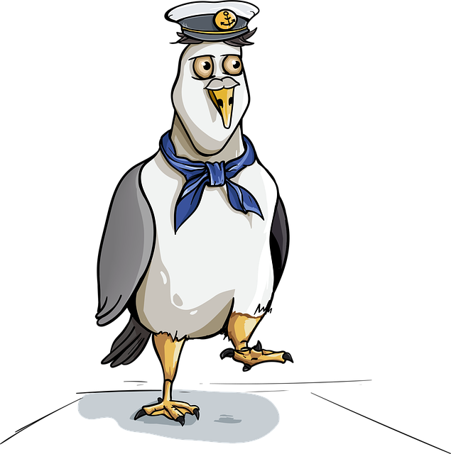 Free seagull bird sailor vector