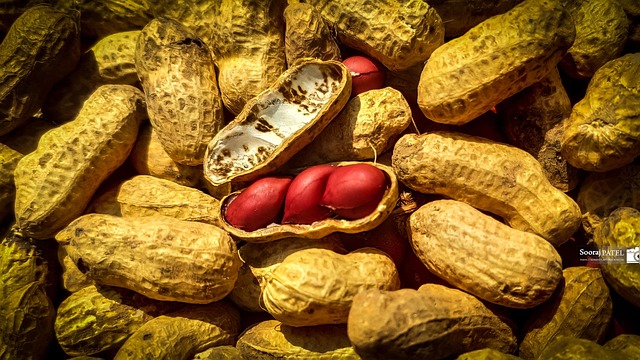 Free Walnuts Nuts photo and picture