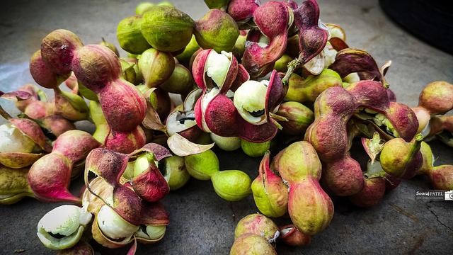 Free Fruts Carry photo and picture