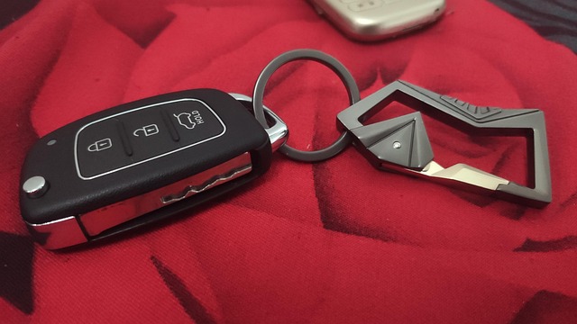 Free Key Metal photo and picture