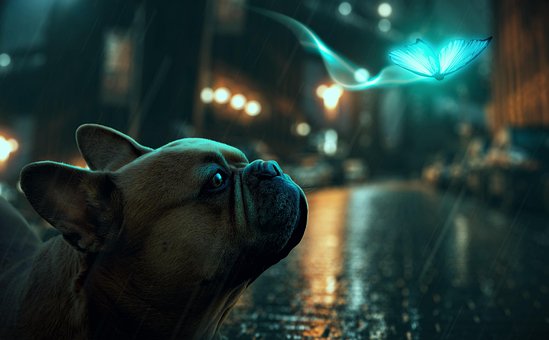 Free Ai Generated Dog illustration and picture