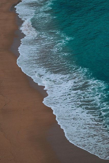 Free Sea Beach photo and picture