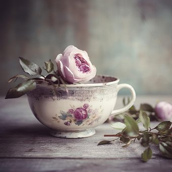 Free Rose Roses photo and picture