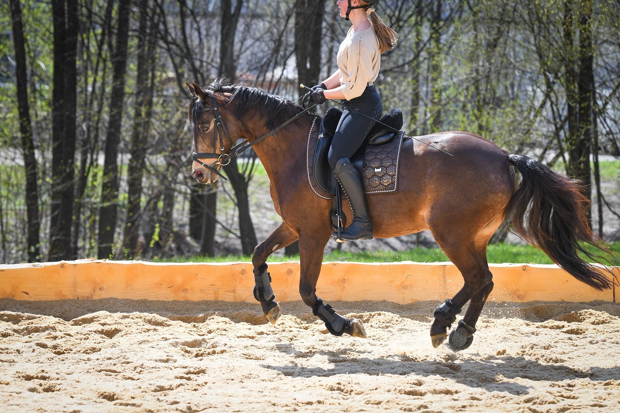 Equitación Galope Caballo - Foto gratis en Pixabay - Pixabay