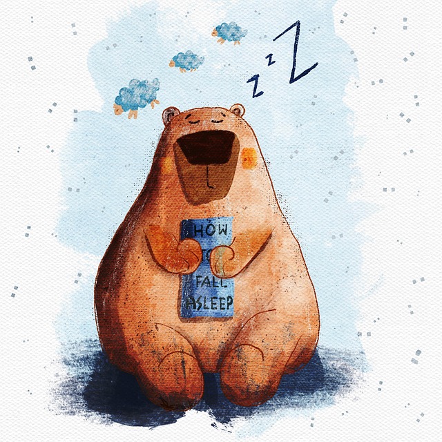 Free bear sleep snooze illustration