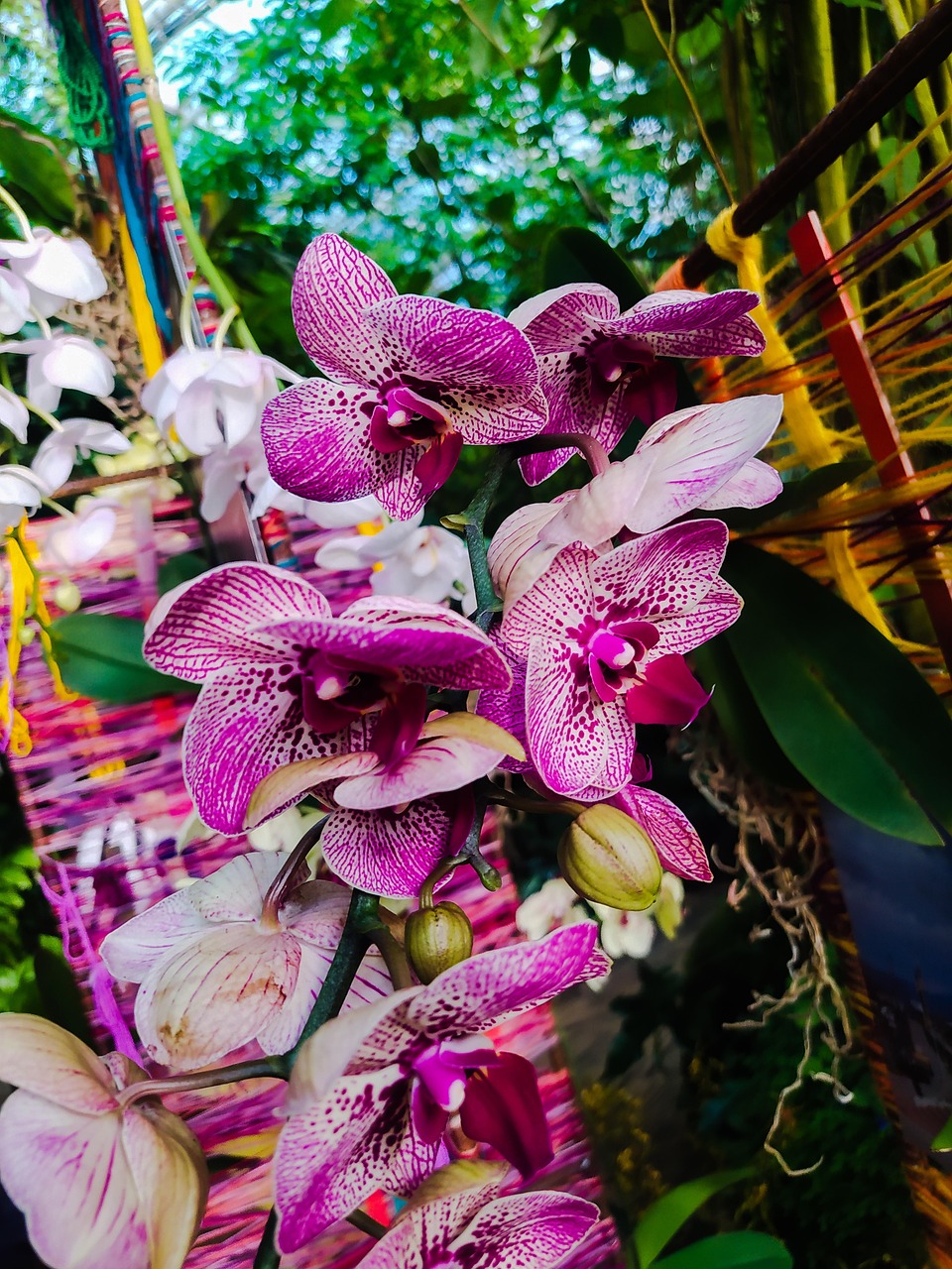 Download Nature, Bloom, Flowers. Royalty-Free Stock Illustration Image ...