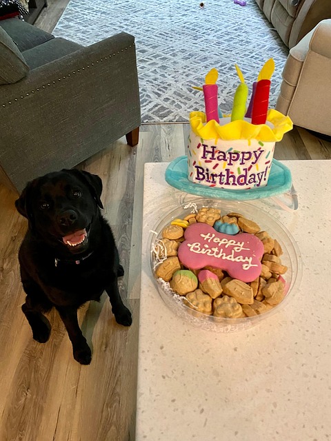 Free Happy Birthday Party photo and picture