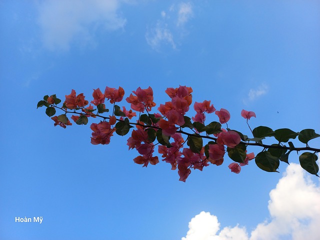 Free Confetti Sky photo and picture