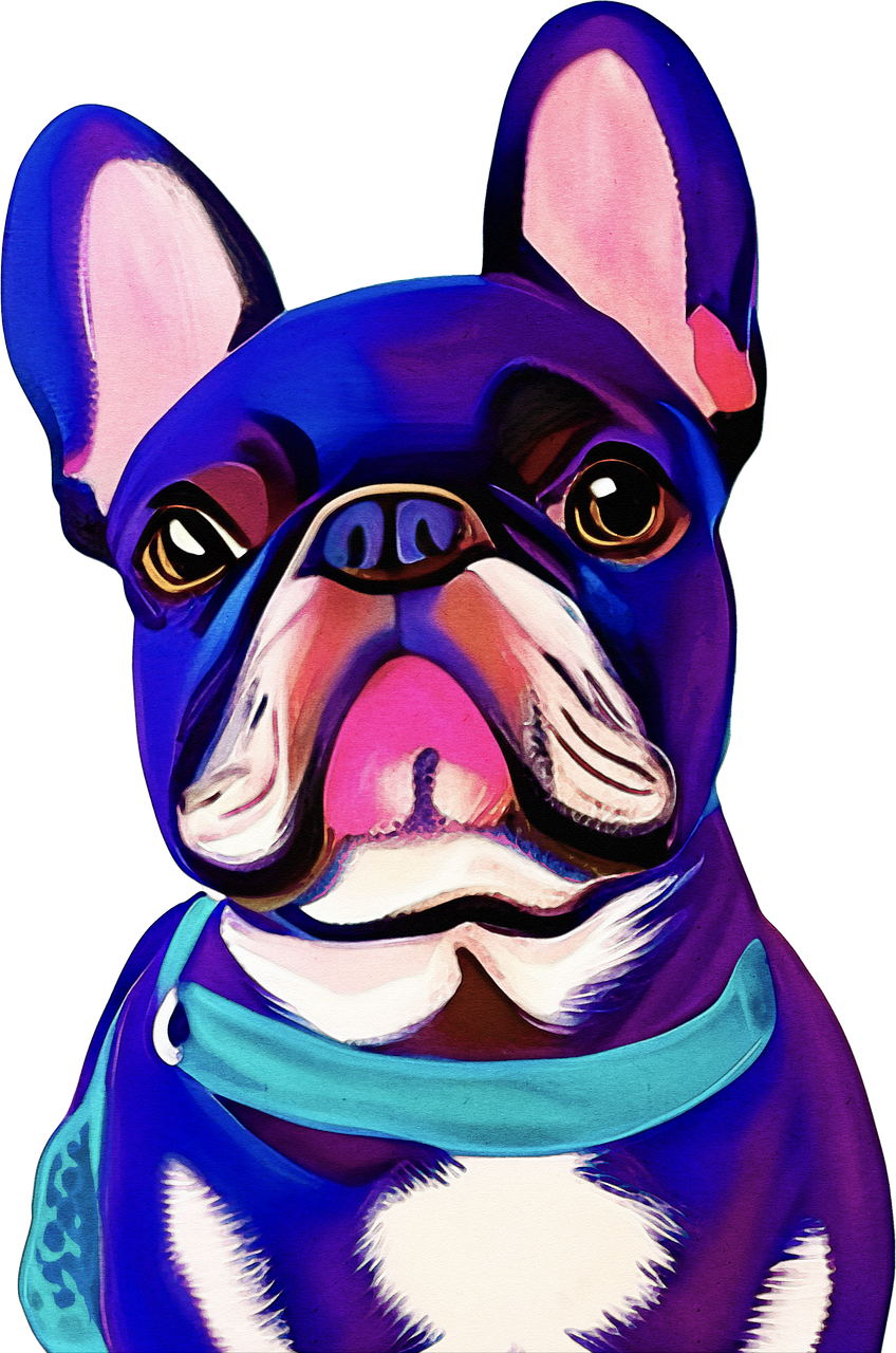 French Bulldog Dog Pet Free image on Pixabay