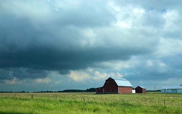 Free Indiana Field photo and picture