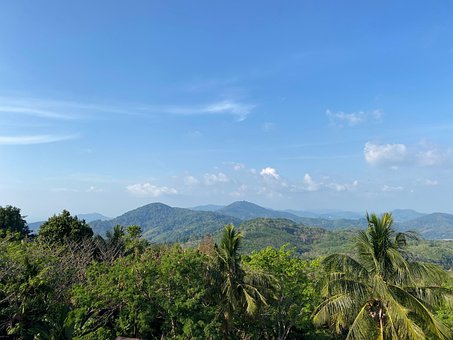 Selva, Paisagem, Tailândia, Jornada